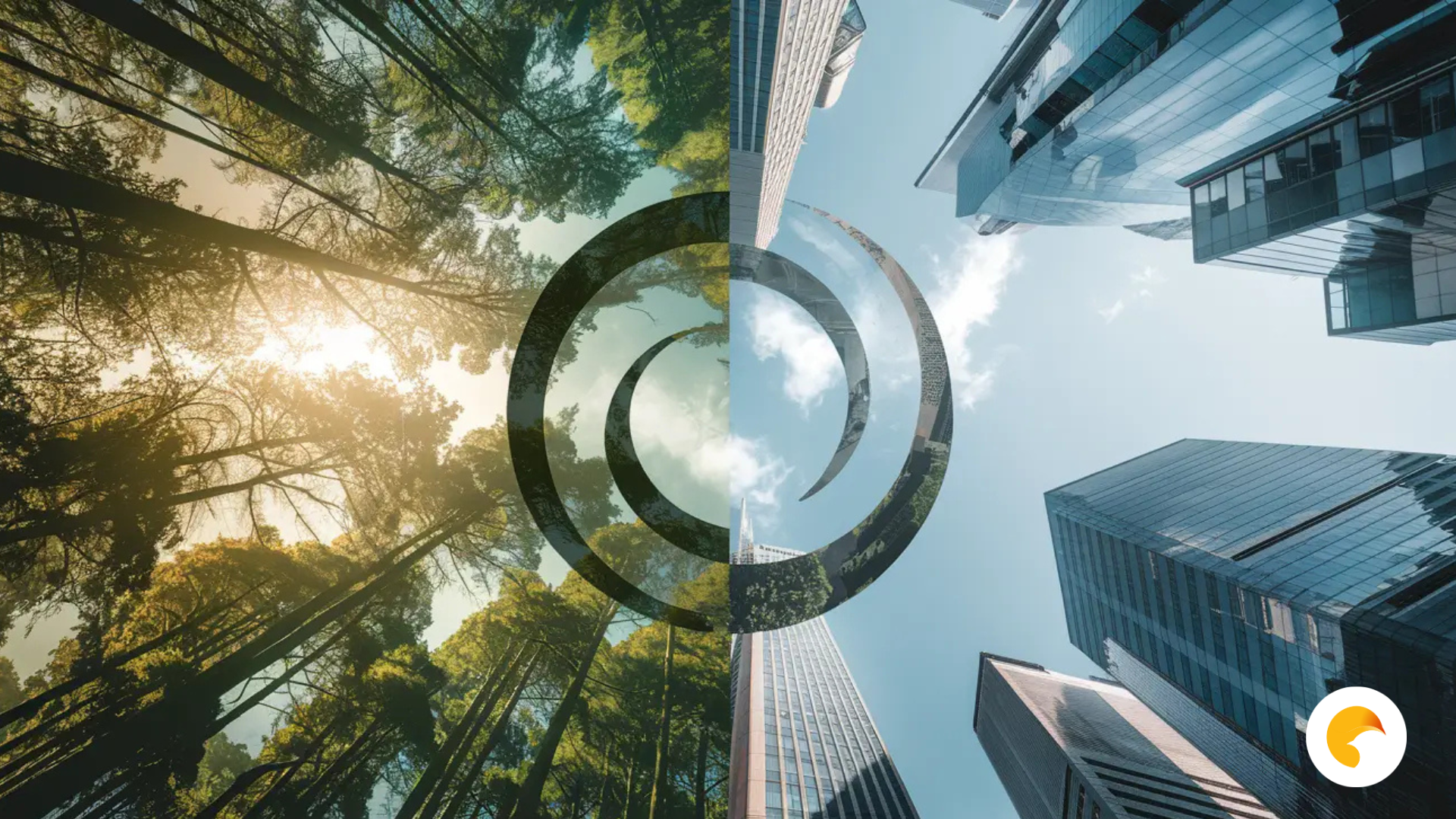 CSRD Compliance: Complete Guide to Climate Transition Plans
