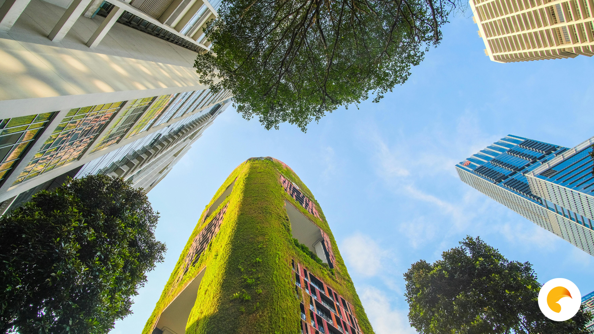 Energy Attribute Certificates: A Practical Guide